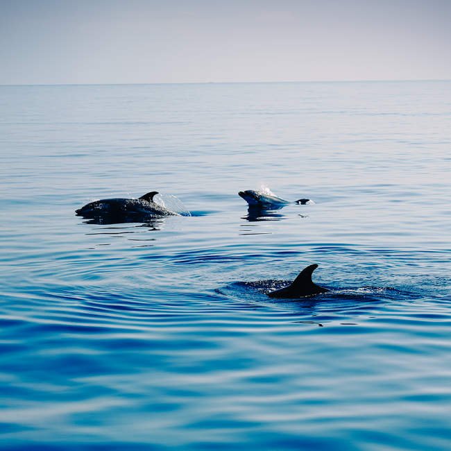 Granada_sailing_pic4