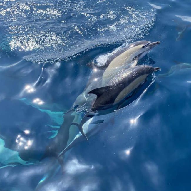 Granada_sailing_pic5